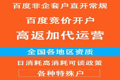 竞价SEM托管案例：精准营销的利器